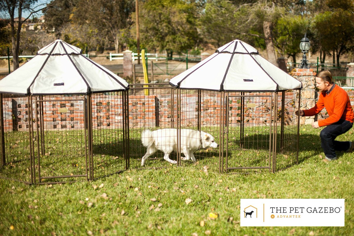 WinWorldIntl's tweet photo. Designed with pets and backyards in mind, the #Advantek Select #PETGAZEBO® is the premium way to shelter your #pet &enhance your yard. Give us a call at 800-664-4939, or learn more on our website. https://t.co/EjQ2Lw77sz #dog #dogs #puppy #doghouse #advantekpet #xpen #exercisepen https://t.co/lzKC3xtwRT