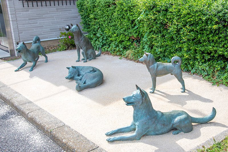 Последняя тайна сёгуна Цунаеси. История,Япония