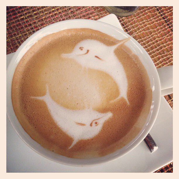 DolphinParadis3's tweet photo. Rise and shine!!🌤 Feeling tired early in the morning? 😴Have a cup of coffee to perks you up with our exclusive Dolphin art designed by our experience barista only at Morning Paradise! 🤗☕️ #Dolphins #Paradise #resort #morning #coffee #cafe https://t.co/LsWx6HmSAo