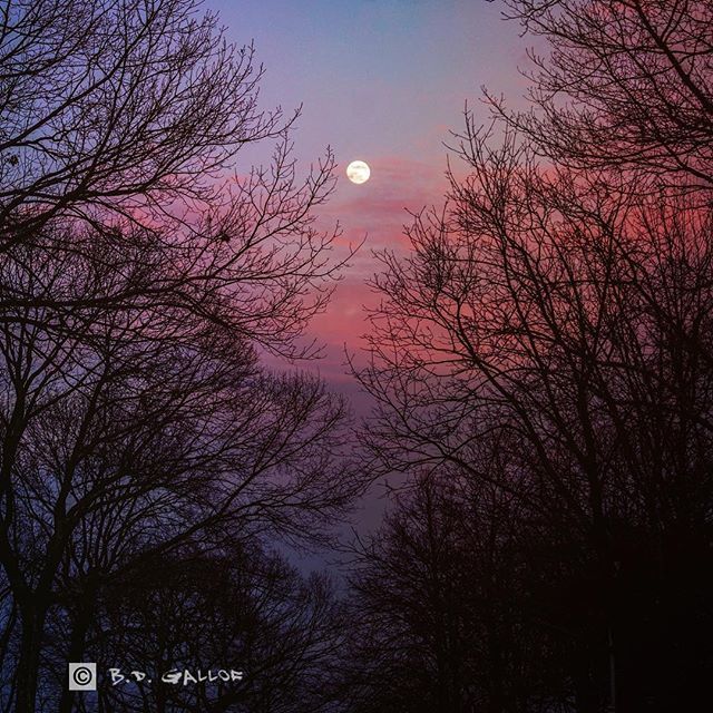 BDGallof's tweet photo. Moon over Smithtown - Long Island, NY - shot via Sony A7RII and edited on an iPadPro with Lightroom & Mextures #winter #smithtown #longisland #newyorkexplored #newyorkstate #exploreliny #li148 #naturephotography #fabskyshots #sonya7rii #sonyalpha #sonyim… https://t.co/fgbo1j4S0Z https://t.co/31itjI2IfK