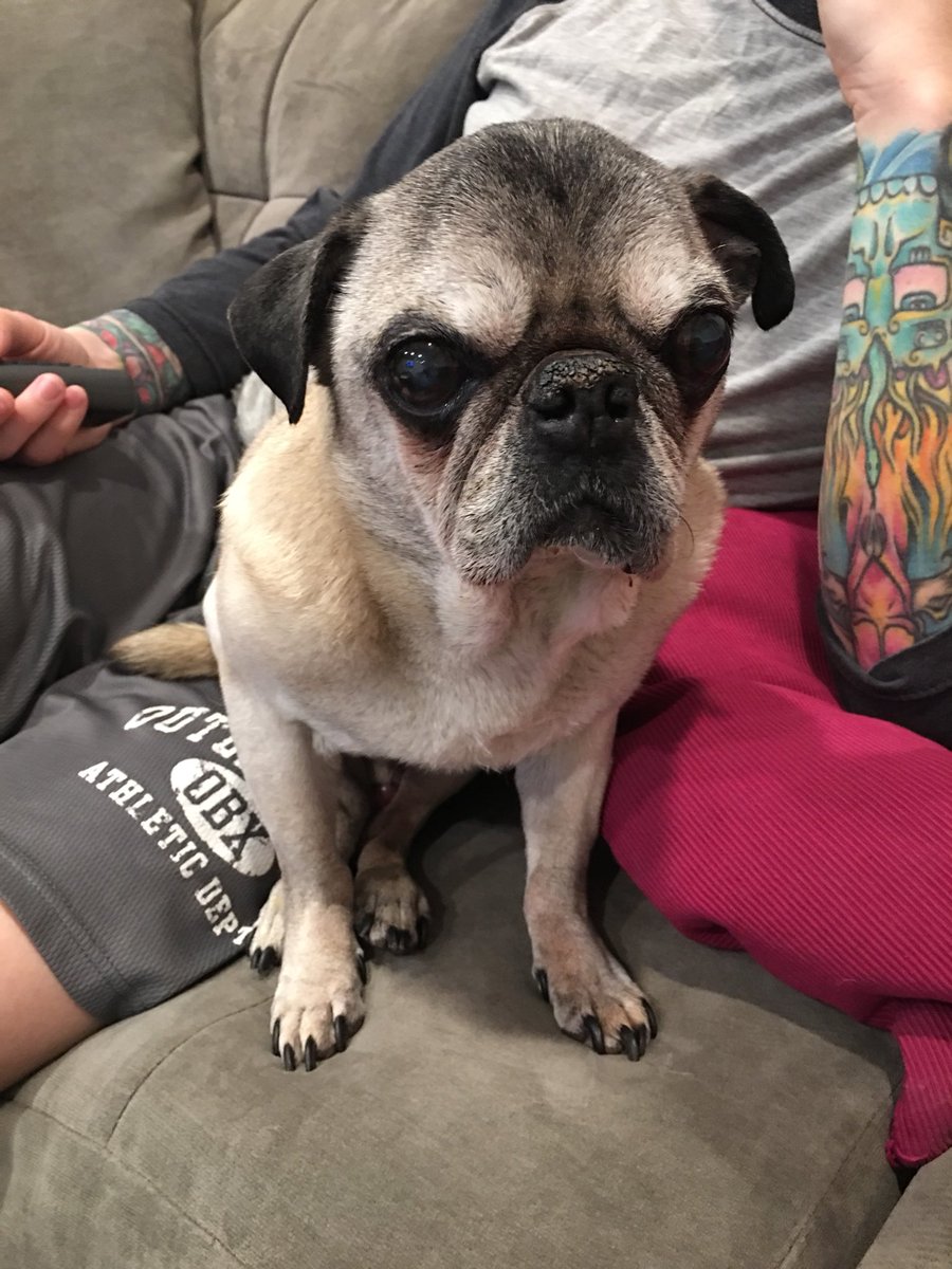 16 and more handsome than ever!