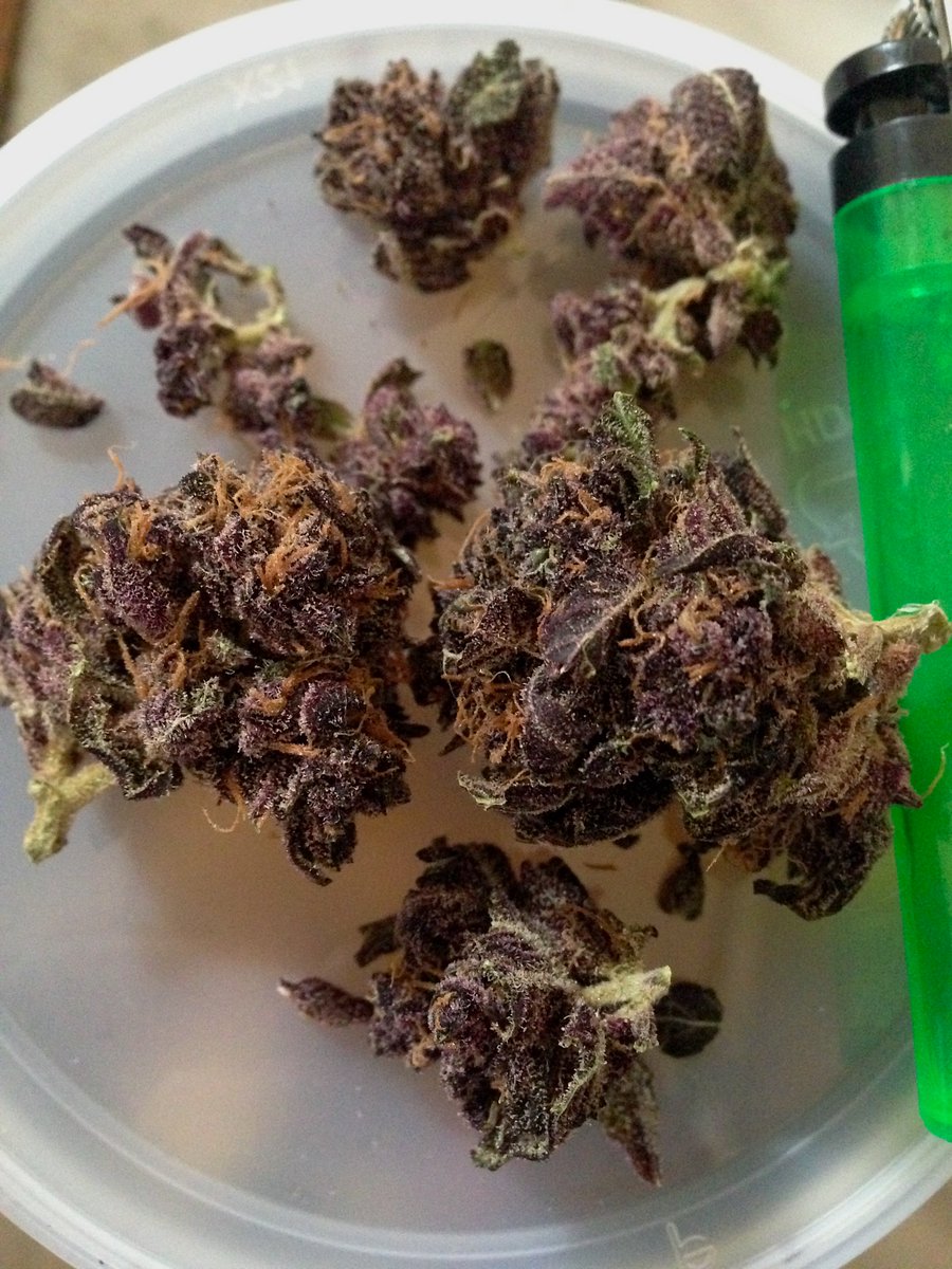 OwyheeNoCome's tweet photo. @CervantesMount It failed.
#PerfectInPurple https://t.co/lQBKphuQH4