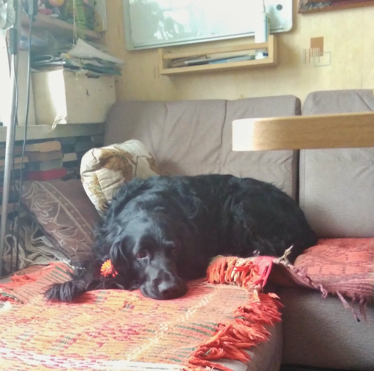 Даниил Богданов (@calculator300ru) on Twitter photo 