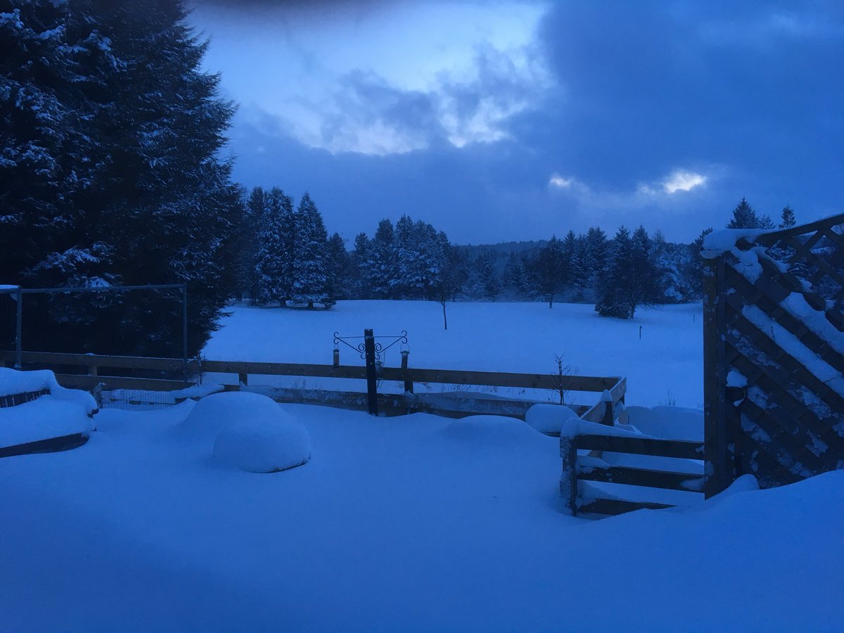 Hiltongreens's tweet photo. March 1st Courses &amp; Clubhouse  closed today 300mm of snow coverage with waist high drifts around Clubhouses. Stuart Neil https://t.co/3Y5pmNbOIS