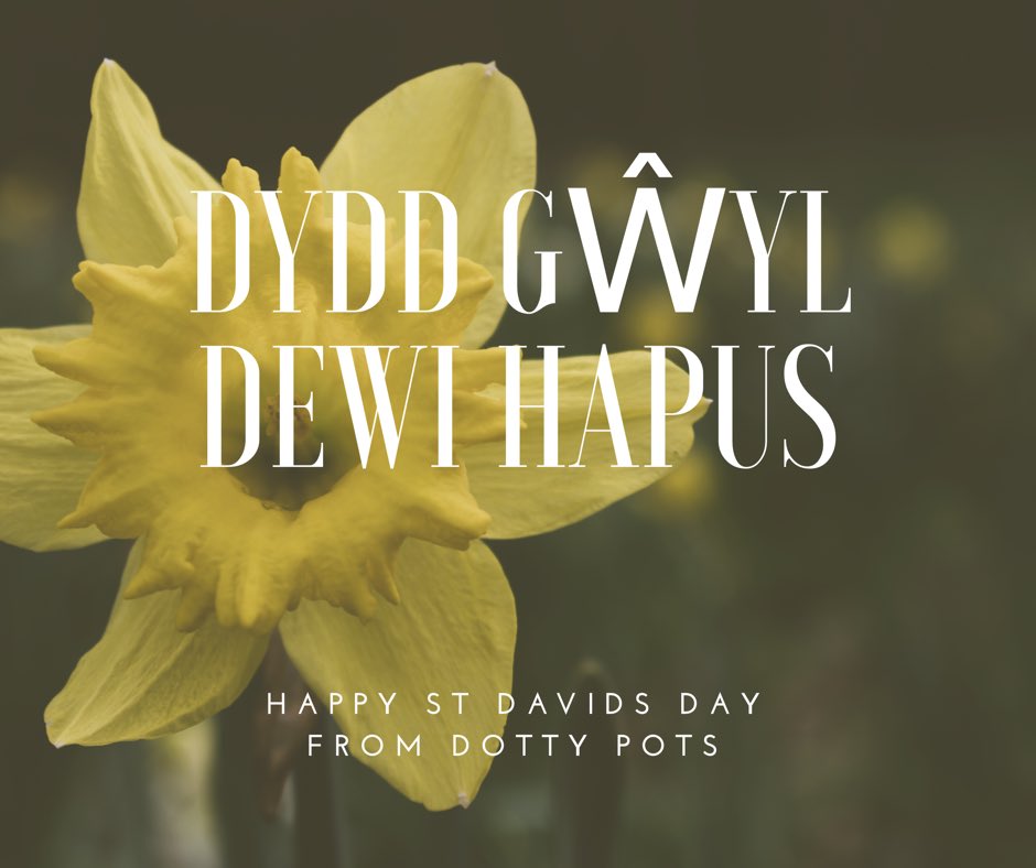 Happy St David’s day from us! No snow day so join us in cosy Dotty Pots for a hot drink and some creativity 😀🎨👨🏼‍🎨👩🏻‍🎨