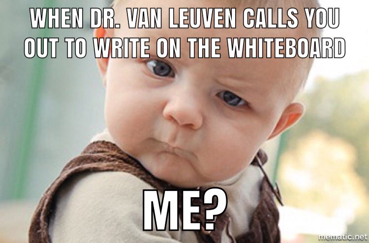 gracieguillen's tweet image. #PRDogs