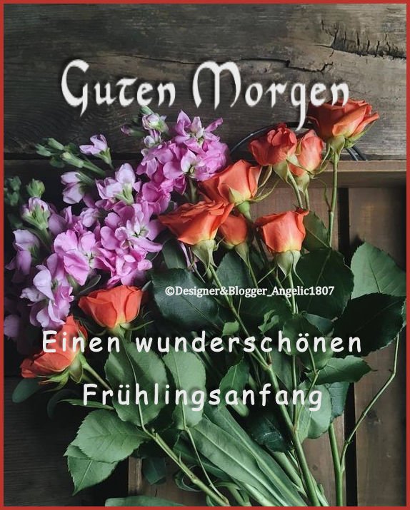 Netzfund Guten Morgen Lustig Guten Morgen Kaffee Lustig