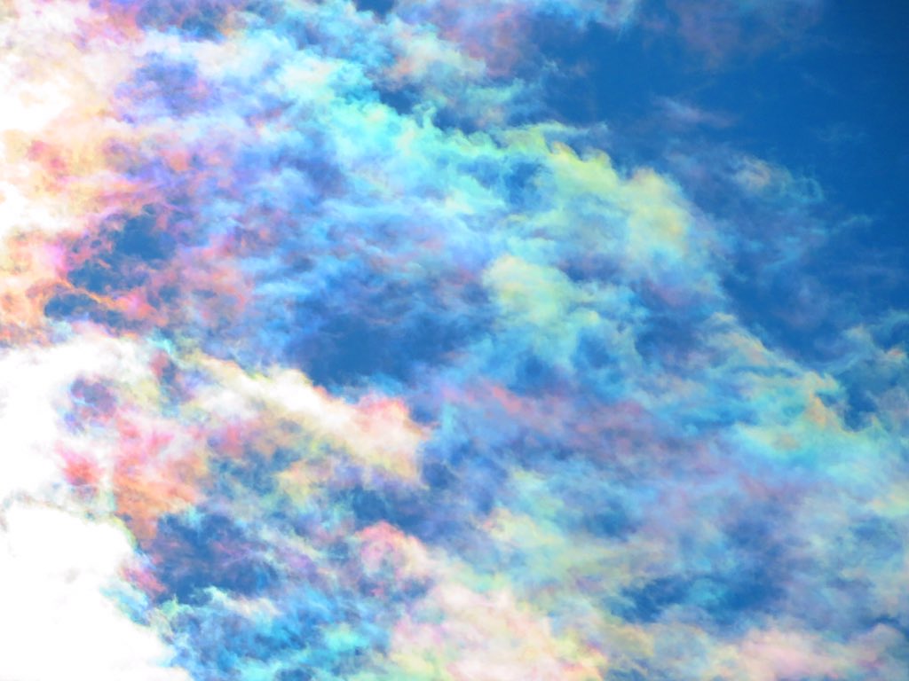 تويتر 荒木健太郎 على تويتر すごい彩雲がいた 雨上がりの青空 で 雲たちが鮮やかに色づいていました こんなにはっきりした彩雲に出会えたのは久しぶり 素敵な空の虹色との出会いでした T Co Bv4yrjiciu