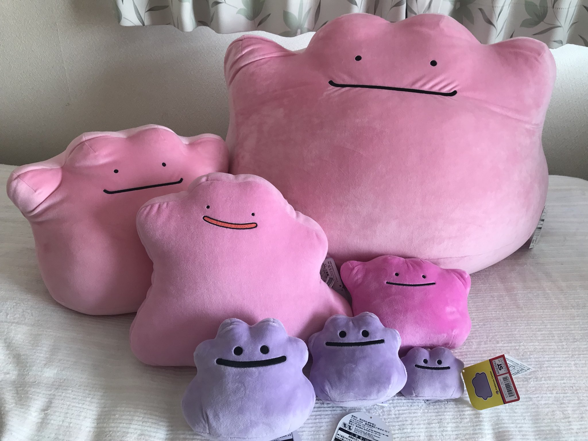 なるさん 超大っきいメタモンのぬいぐるみが届きましたー もちもちふわふわぷにぷにしてるぅ 腕回せないくらい大きいよ これ膝の上乗っけたらもう何もできない 物理的 もう可愛すぎて何もする気起きない 精神的 写真の親分感がハンパない T