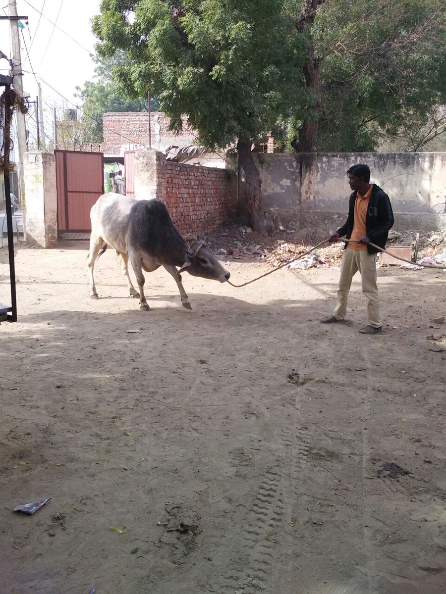 MUNICIPAL CORPORATION BATHINDA tweet media