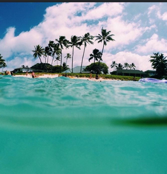 totallyblondexo's tweet photo. I NEED this!!❤️☀️ https://t.co/u2DdfqKYGV
