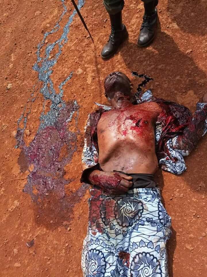 SenatorPenn's tweet photo. We would never have reached this level where human life in #Cameroun has no value if Article 47(1) of the 1961 Federal Constitution was respected.Many more will die if #dialogue in solving the root causes of the #SouthernCameroons question is not called 
@UN
@_AfricanUnion https://t.co/SyUtMXsNaY