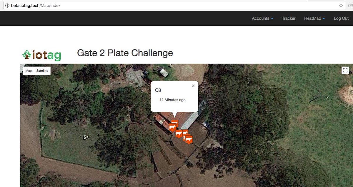 _iotag's tweet image. @_iotag now coming to you from the @HBG2PCHALLENGE  feedlot in Wilyung, WA. Watch this space closely as this trial winds down in 3 weeks! Our Co-Founders @mpeter13 and @_VijayV will be at the March 20 Field Day, talking about all the cool things we're learning! #agtechwa #ausag