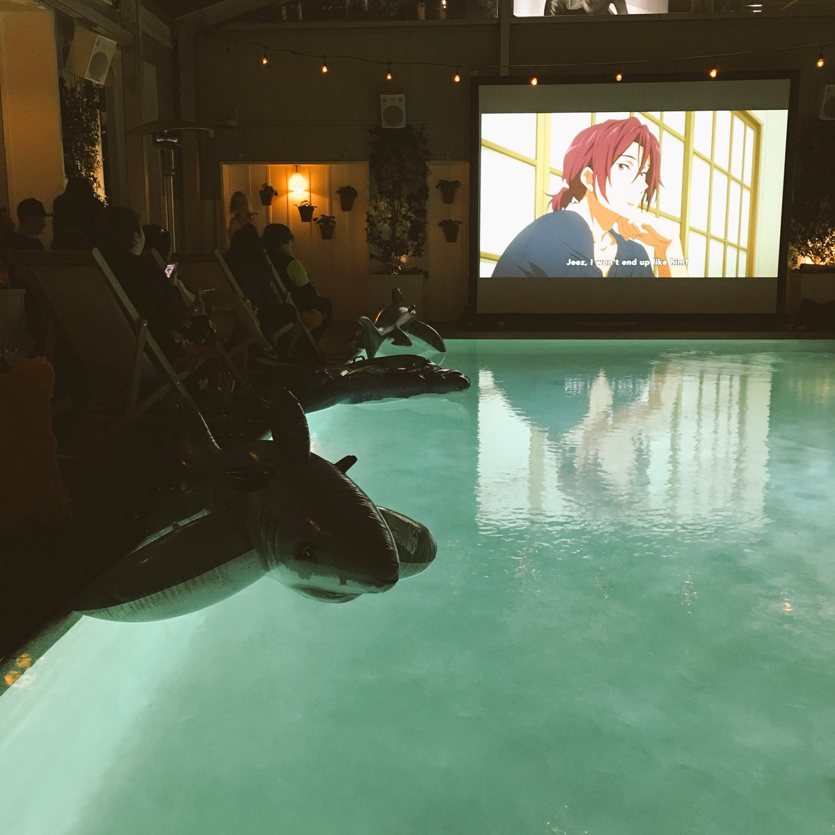 ayanami116's tweet image. Sharks at the #FreeTYM premiere #Anime #swimboys