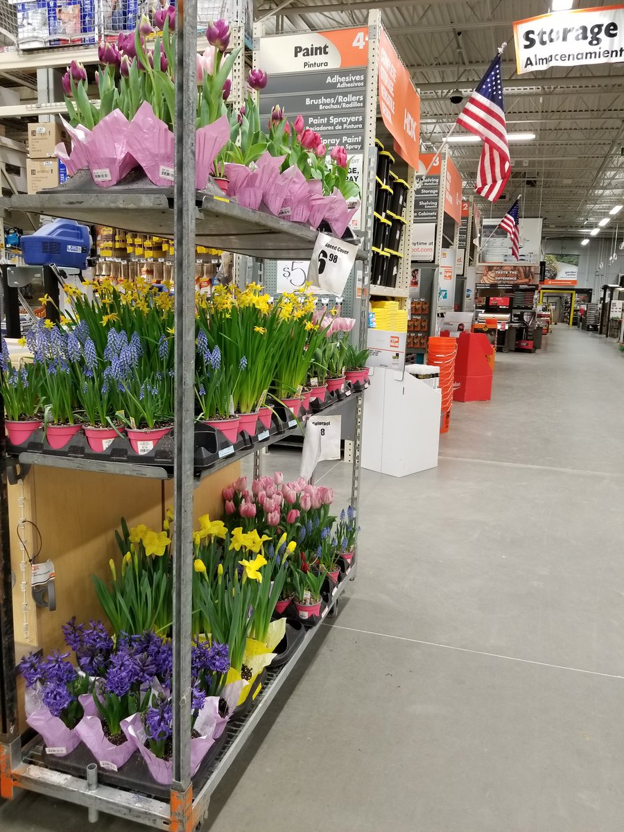 barb_35's tweet photo. Spring is coming #STR1552 https://t.co/vpNwgWT1fZ