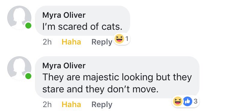 wonderfall_me's tweet photo. So my moms dogs got bored and chewed up a bunch of shut in the living room today. And everyone on Facebook is saying how they are so happy they have chants and this is my mother’s response. #onlymyra https://t.co/RlKcsb9nte