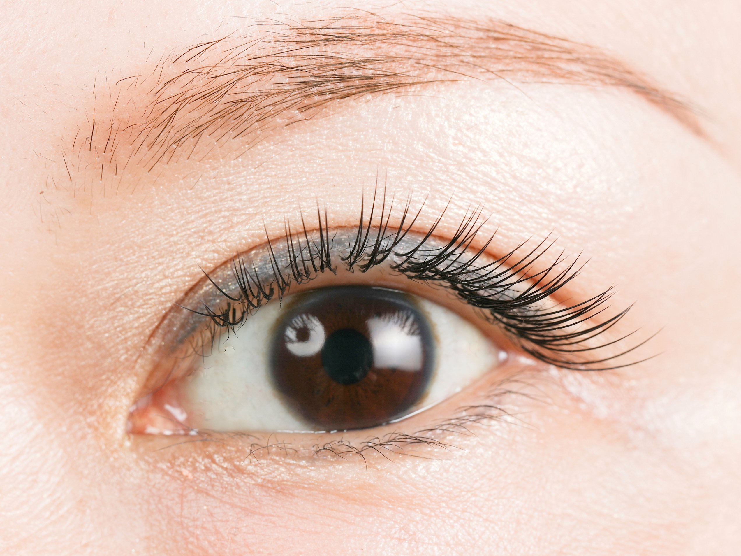 Mignon マツエク専門店 Mignon Eyelash Twitter