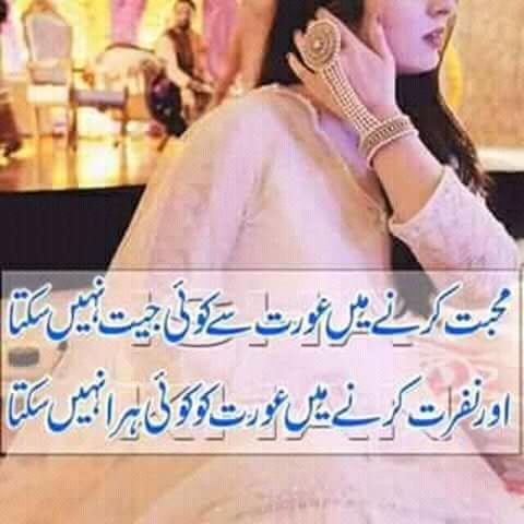 alihaider tweet media
