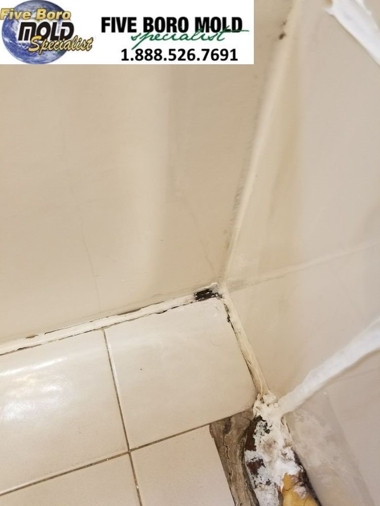 5BoroMold's tweet image. Call 1-888-526-7691 today to ask about attic mold removal services in your area. We will be happy to answer all your questions and schedule you for an appointment with one of our certified professional mold inspectors.
#mold #moldproblem #householdmold #moldsign #moldstains