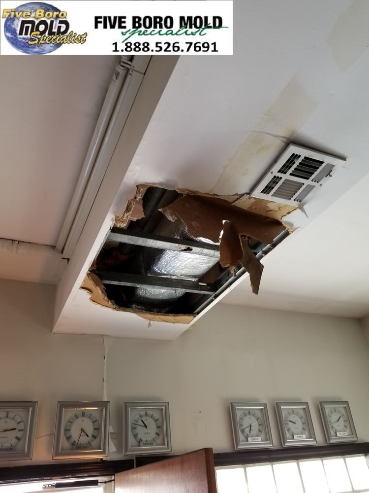 5BoroMold's tweet image. Call 1-888-526-7691 today to ask about attic mold removal services in your area. We will be happy to answer all your questions and schedule you for an appointment with one of our certified professional mold inspectors.
#mold #moldproblem #householdmold #moldsign #moldstains