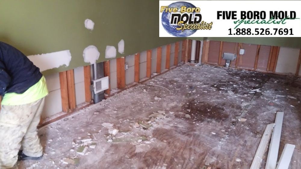 5BoroMold's tweet image. Call 1-888-526-7691 today to ask about attic mold removal services in your area. We will be happy to answer all your questions and schedule you for an appointment with one of our certified professional mold inspectors.
#mold #moldproblem #householdmold #moldsign #moldstains