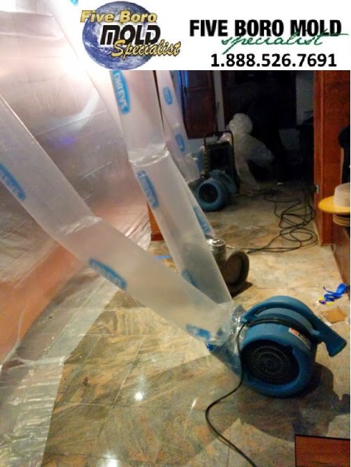 5BoroMold's tweet image. Call 1-888-526-7691 today to ask about attic mold removal services in your area. We will be happy to answer all your questions and schedule you for an appointment with one of our certified professional mold inspectors.
#mold #moldproblem #householdmold #moldsign #moldstains