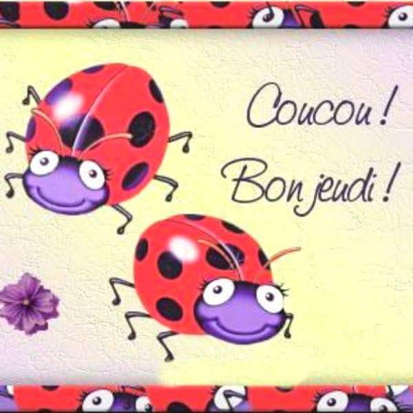 SIchgra's tweet photo. @ntwolfmother @bottazzi3 Cc les filles très bon jeudi😚😚😚😙😙😗 https://t.co/Zt5N7ZLgU5