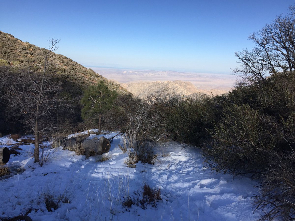 ToddLangager's tweet photo. Enjoyed a #SanDiegoSnowDay with the boys up at Mount Laguna this afternoon. Couldn’t ask for a better Papa Day! https://t.co/ZPmhUez9yN