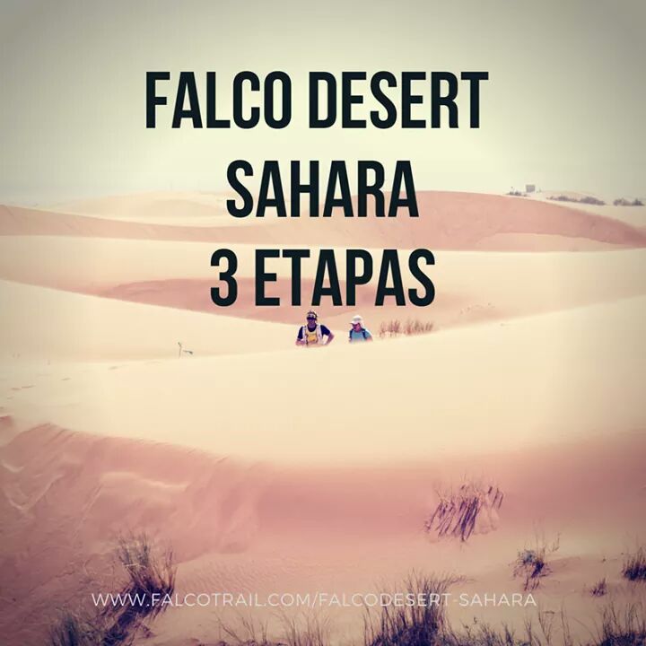 FalcoDesert's tweet photo. II FALCODESERT SAHARA 
Viaje desde #Málaga 
3 etapas #Sáhara #Marruecos 
Solo 100 plazas.
https://t.co/uiIjmJosrr https://t.co/DoTZOErhgu