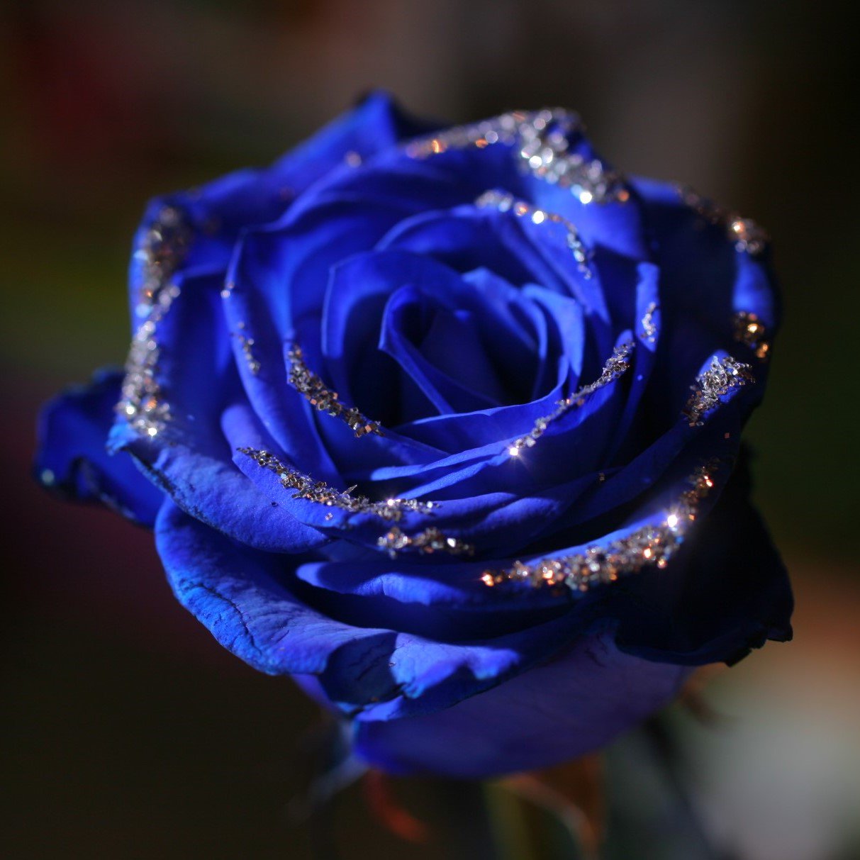 See Roseshopjp S Tweet On Mar 1 18 Twitter
