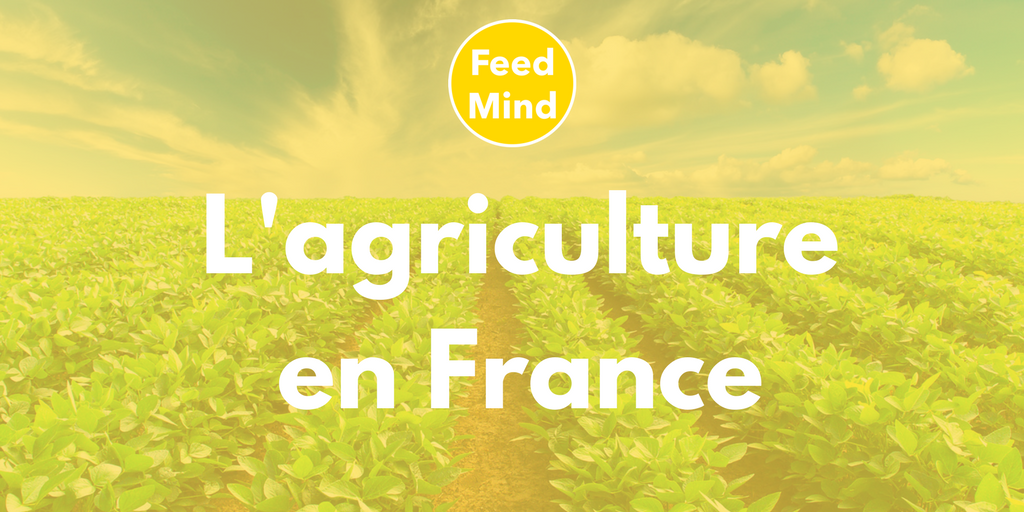 FeedMind_'s tweet photo. Cette semaine on vous parle de la situation de l'agriculture en France ➡️https://t.co/W2mZi8l1Rm https://t.co/VcTUA7o9g7