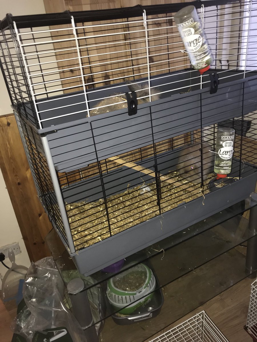 Cdunn1302's tweet photo. How to house 6 bunnies in this awful weather took me a while@to figure it out but all inside and safe 😍🐇🐰 https://t.co/HStjfje9ly