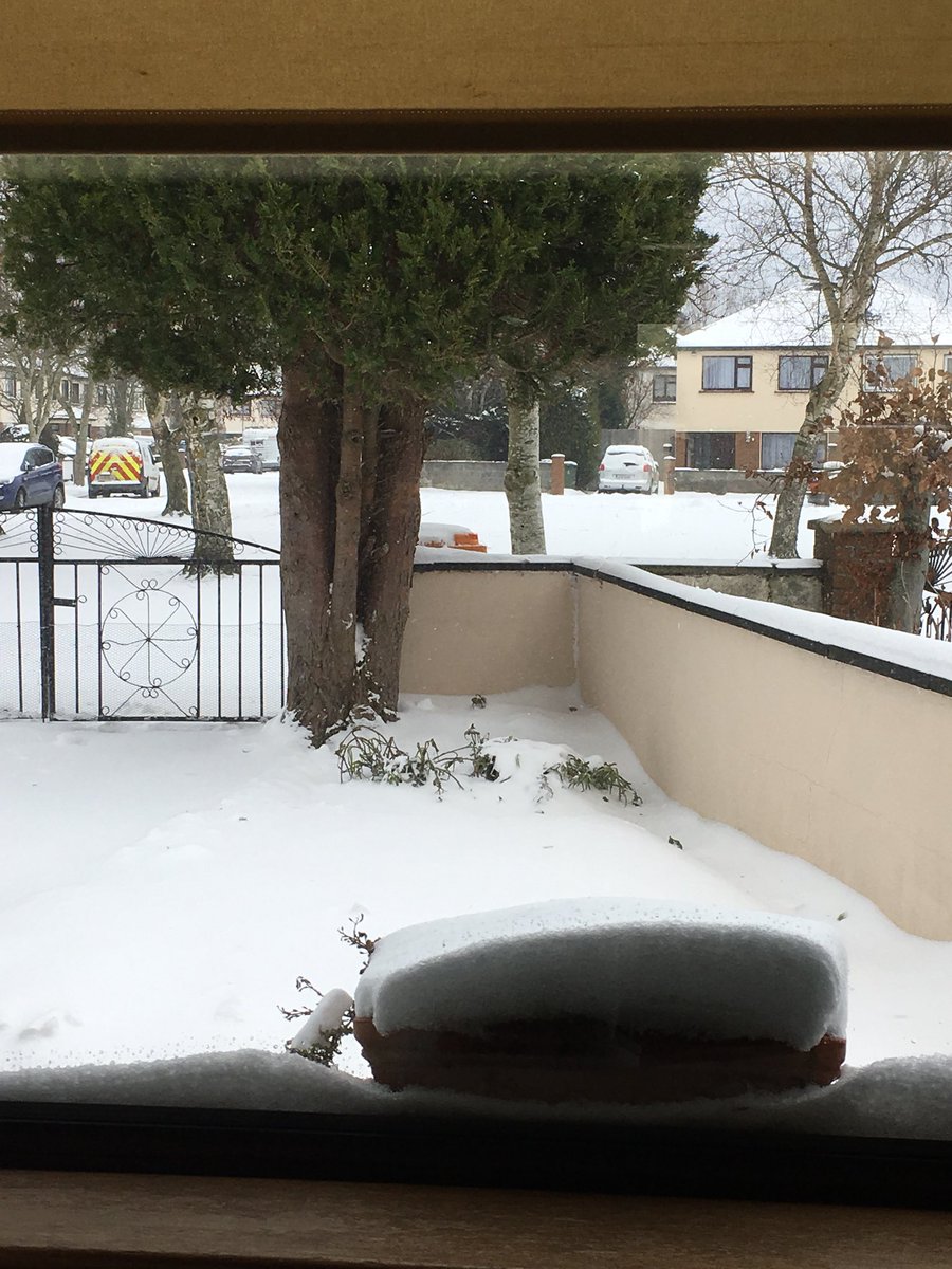 AzureBreeder's tweet image. 🌟Currently enduring a snow storm.-