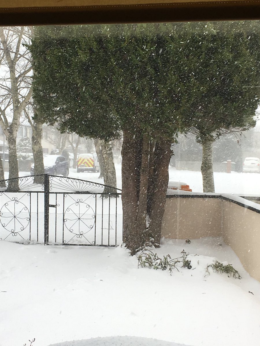 AzureBreeder's tweet image. 🌟Currently enduring a snow storm.-