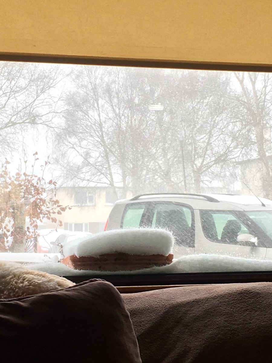 AzureBreeder's tweet image. 🌟Currently enduring a snow storm.-