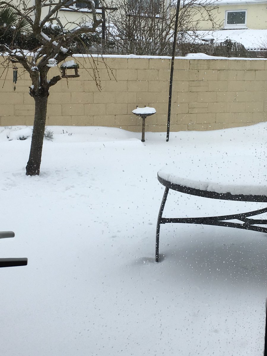 AzureBreeder's tweet image. 🌟Currently enduring a snow storm.-