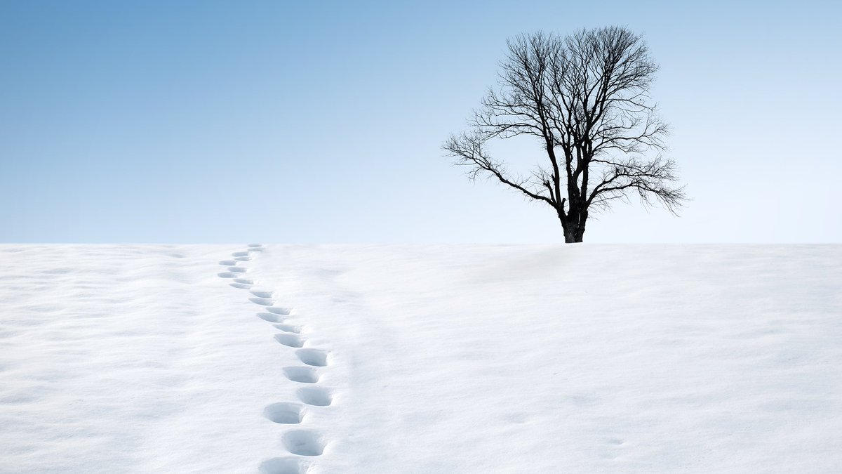 Filing your company's accounts is SNOW joke!
If your annual accounts are due, there’s no need to put your hat, scarf and wellies on to plough through the snow.
File online from the warmth of your own home. Find more info on our digital services here » socsi.in/OBF4W