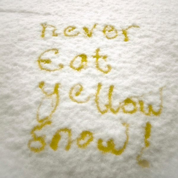 MacgregorDonald's tweet photo. Yellow Snow Warning⚠️ https://t.co/jI9DJ06zJX