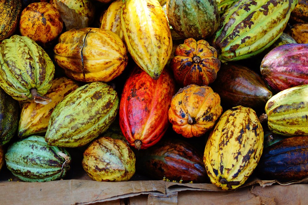 theGEF's tweet photo. #Food company @MDLZ helps keep ecosystems healthy while making Oreos &amp; other favorite chocolaty snacks https://t.co/uK8b0UN7os #GlobalCommons https://t.co/PsWXe8K7qU