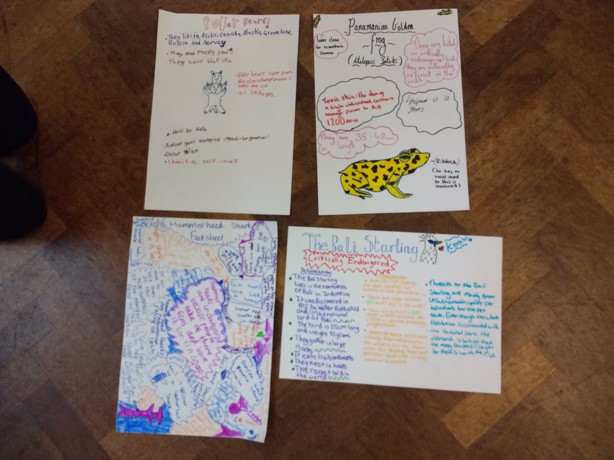 FXU_GenWild's tweet photo. This week session with the Brownies we have been talking about endangered species!🐸🐍🐠 @FxuVolunteering @FXUtweet https://t.co/UjAer7buq6