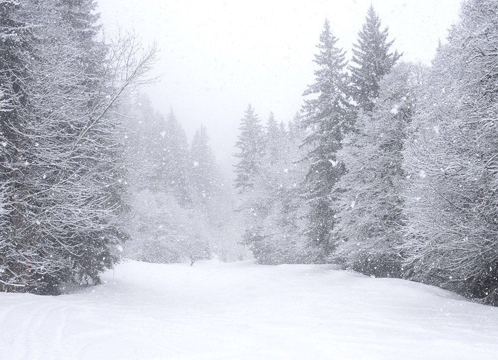 WAR Race tweet media