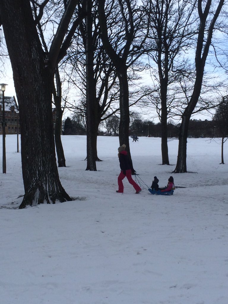 lucynorris1's tweet photo. Sledgers, skiers and igloo makers on Bruntsfield Links #bruntsfieldlinks #edinburghmeadows #marchmont #eastybeasty https://t.co/bpbWt98ZlC