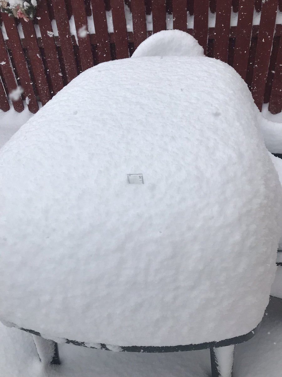 LHS_MissC's tweet photo. @LHSTechnologies 282mm on my garden table! Don’t think I’ll be having lunch out today. Can anybody spot the tip of my ruler?? #LHSGetsSnowy 😕❄️ https://t.co/S8W0PPoLfP