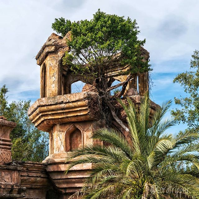 cordtripper's tweet photo. #post385
...
...
....
#cordtripper #disney #animalkingdom #themeing #ruins #maharajah #themepark #travel #asia #nature #traveling #travelgram #instatravel #igtravel #visitthailand #photography #travelphotography #travelpics #stamped #wanderlust https://t.co/m6YNcO5iA2