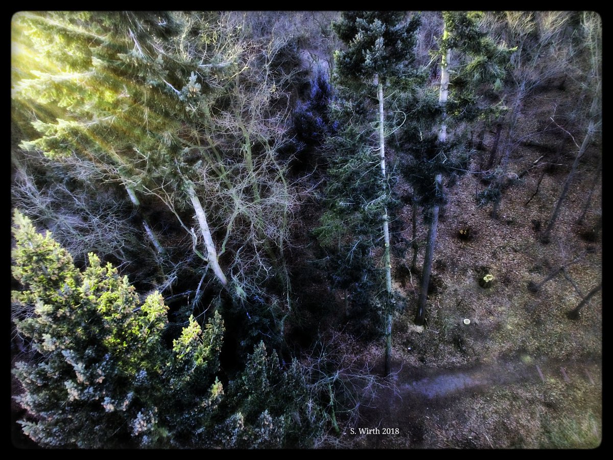 wirthstef's tweet photo. #Sunlight #falling through a #dark #cold #winter #forest. Berlin February 2018. Copyrights #StefanFWirth
#drone #quadcopter #airperspective #birdperspective #Breeze #yuneec #photography #landscape #flying #flyingcamera #Unusualperspective #Yellow #blue #artistic #artfilters https://t.co/ENZTq1qbyY