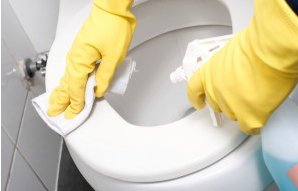 Maid2MaidPro's tweet photo. Our office and #commercialcleaning services are very important to us at Maid2Maid, as we know that as a company you have no choice but to provide the best #environment in the business – in order to stand out from your competitors: https://t.co/IyOHqn8GNN #stockport https://t.co/c1sC99mBAS