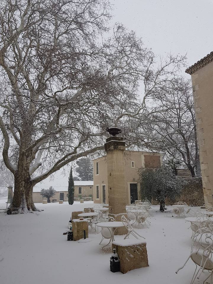 mas_merlet's tweet photo. Quelques photos du @mas_merlet sous la neige à #Nimes #reception #neige https://t.co/erqn8UKycB