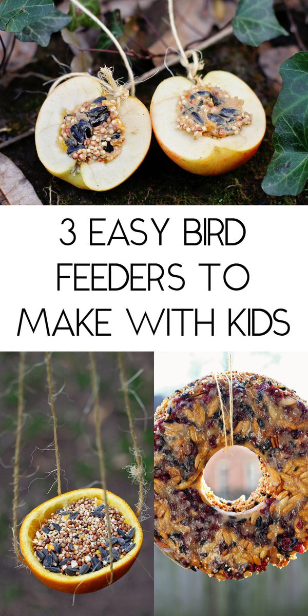 Run Wild My Child On Twitter Making A Bird Feeder W Kids Is A