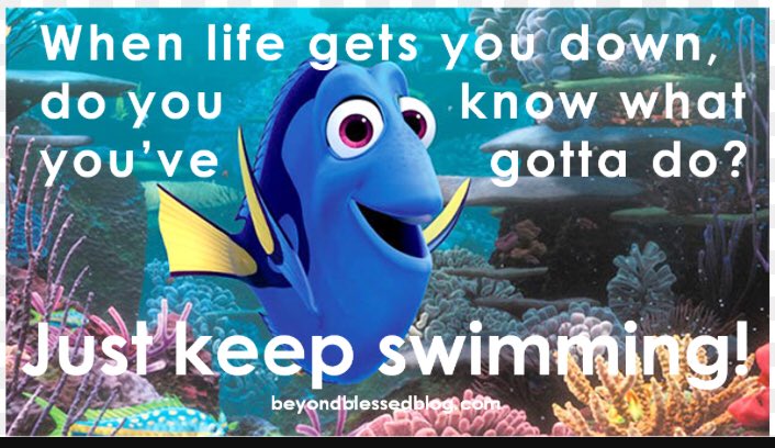 CDluoik's tweet photo. Our Motto This Year: Just keep swimming!!!🐠🏊🏻‍♀️🐠 The Hazel Kindergarten Squad is all about POSITIVITY!😁🙌🏼 @Mr_J_Roberts @KSKinders #Day11 #ThursdayThoughts #wo2world https://t.co/e8BwpXJAl2