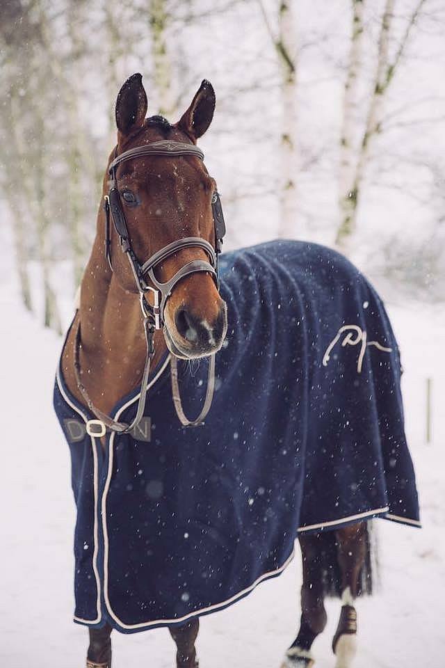 With events being cancelled all over the place, why not beat the chill with our winter warmer! Just add the code WINTER at the checkout and have 10% off your order - ends 11.30pm Sunday! sederholm.co.uk <a href="/SellerieButet/">Sellerie Butet</a> #dyon #butet #WinterWarmer